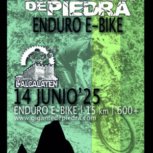 ENDURO E-BIKES 25